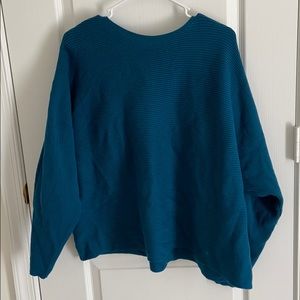Blue sweater